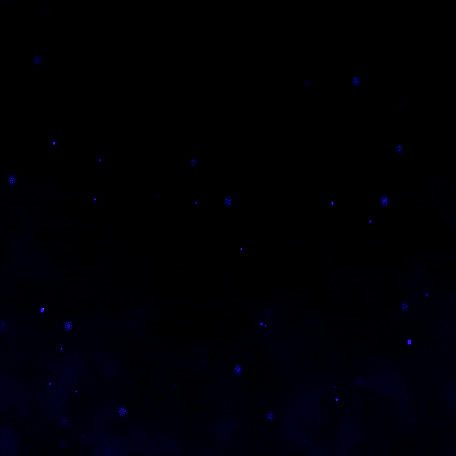RPG Services Animated Logo